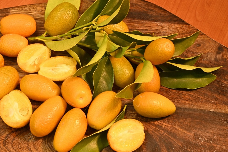 Кумкват: польза и вред