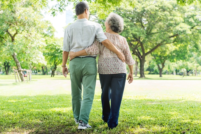 Какие органы отвечают за иммунитет?