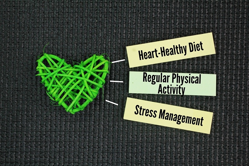 Кардиопротекторы: препараты для защиты сердца и сосудов