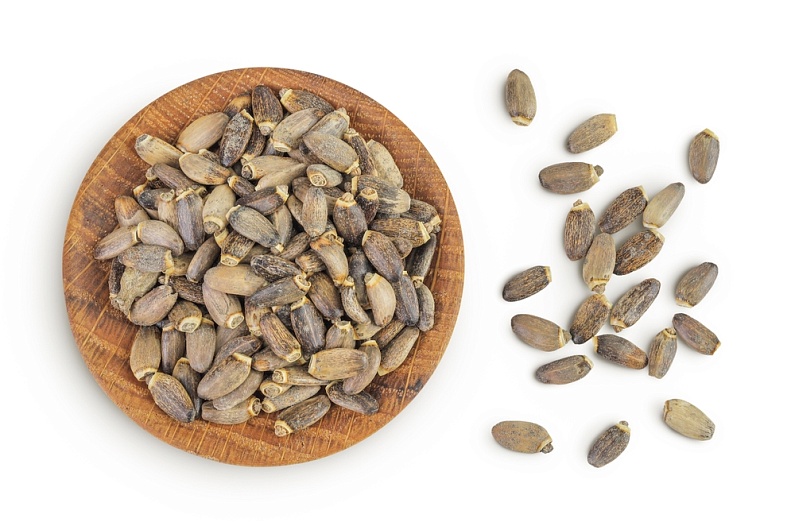 Гепатопротекторы для печени растительного происхождения