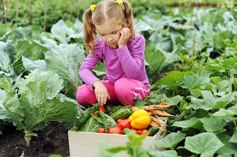 Содержание белка в различных продуктах