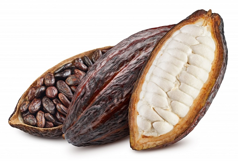 Польза какао