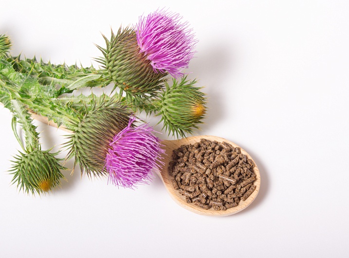 Эффективность экстракта расторопши при детоксикации