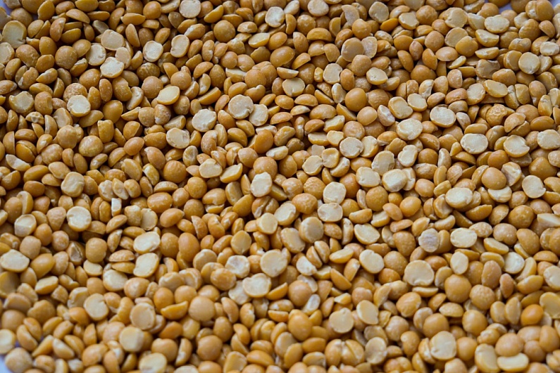 В каких фруктах содержится белок?