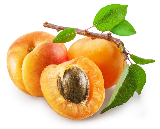 Абрикос