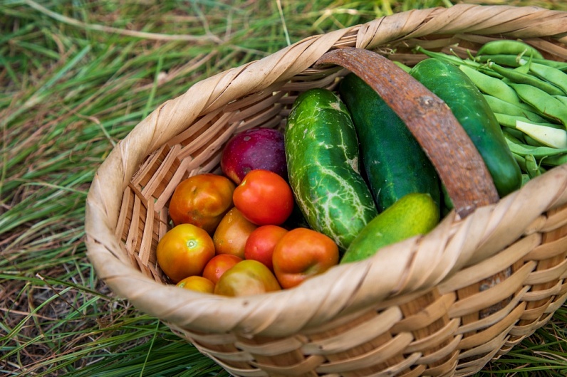 Продукты, снижающие аппетит