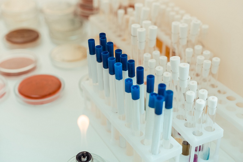 Витамины для улучшения иммунитета