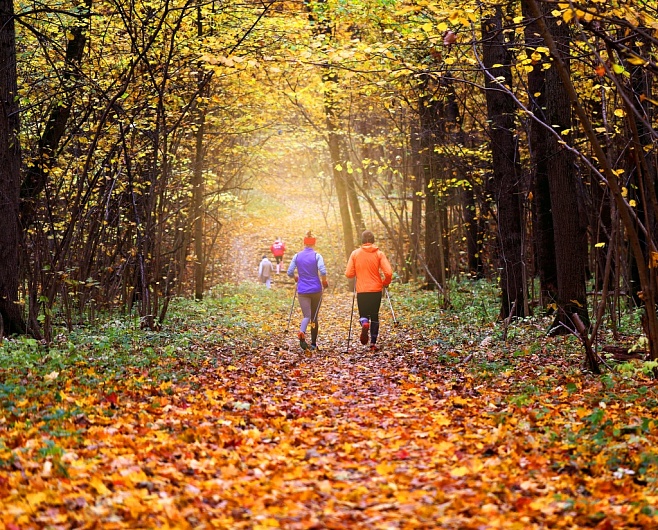 Похудение и вечерние пробежки