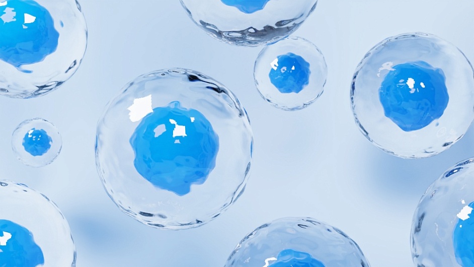 В каких органоидах происходит образование питательных веществ?