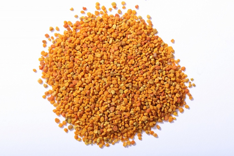 Как правильно жевать прополис в чистом виде?