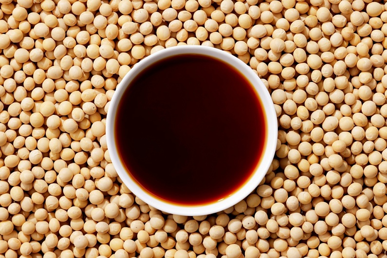 Что за растение соя?