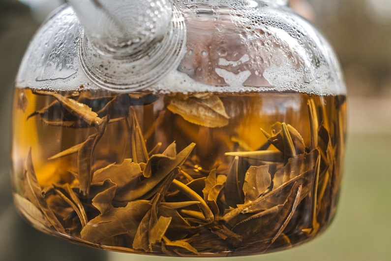 Травы для очищения организма от токсинов