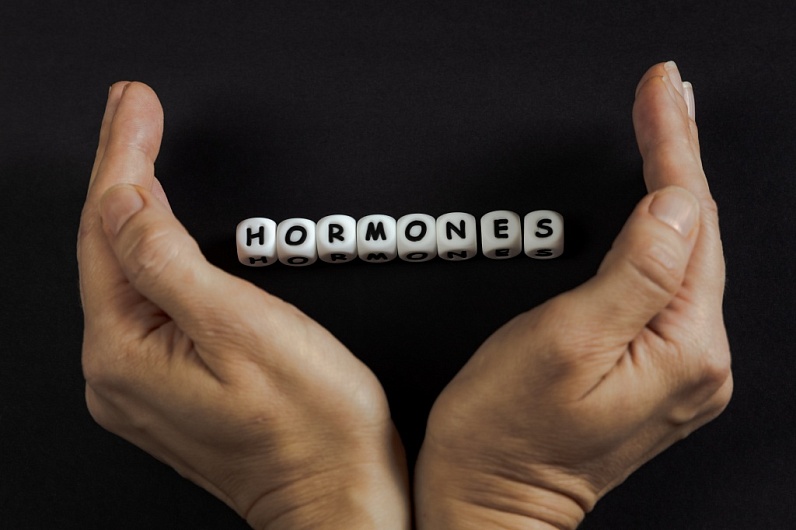 Железы внутренней секреции: какие железы к ним относятся 