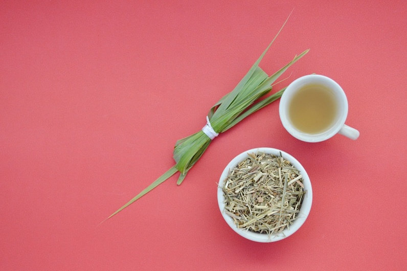 Мочегонные травы при гипертонии: как использовать?