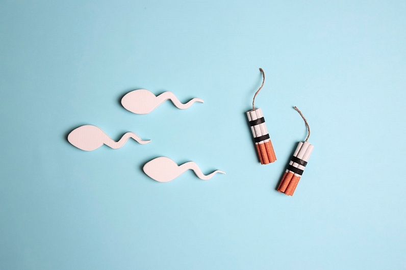 Влияние курения на качество сперматозоидов