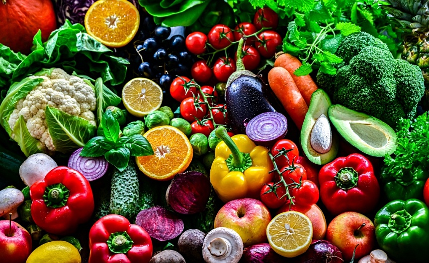 Какие питательные вещества необходимы организму человека?