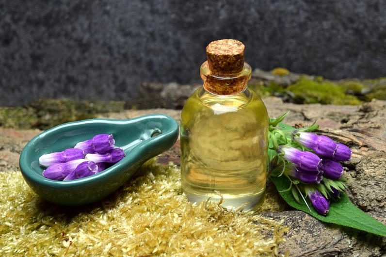 Окопник лекарственный – лечебные свойства для суставов и инструкция по применению