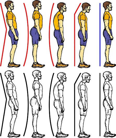 Влияние правильной осанки