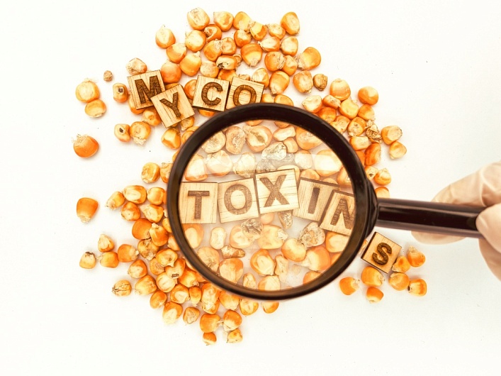 Как избавиться от токсинов?