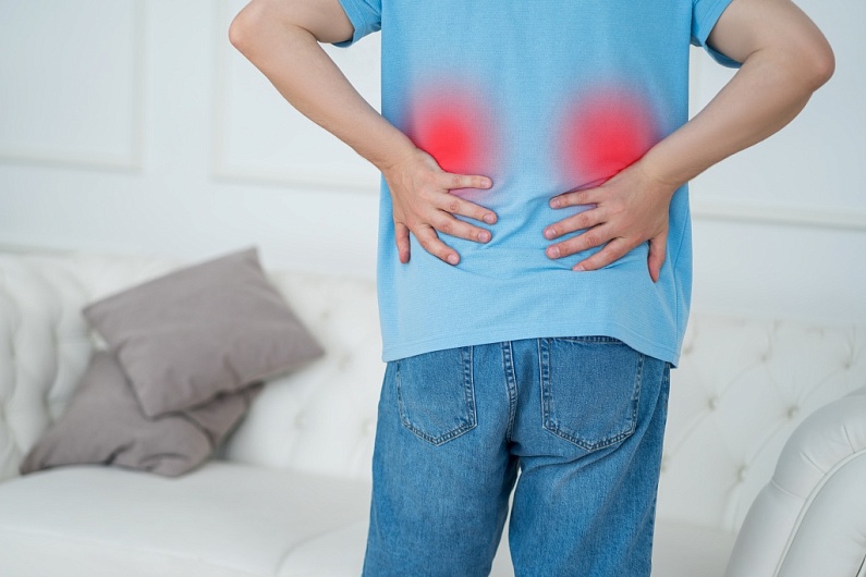 Лечение заболеваний почек народными методами и профилактика